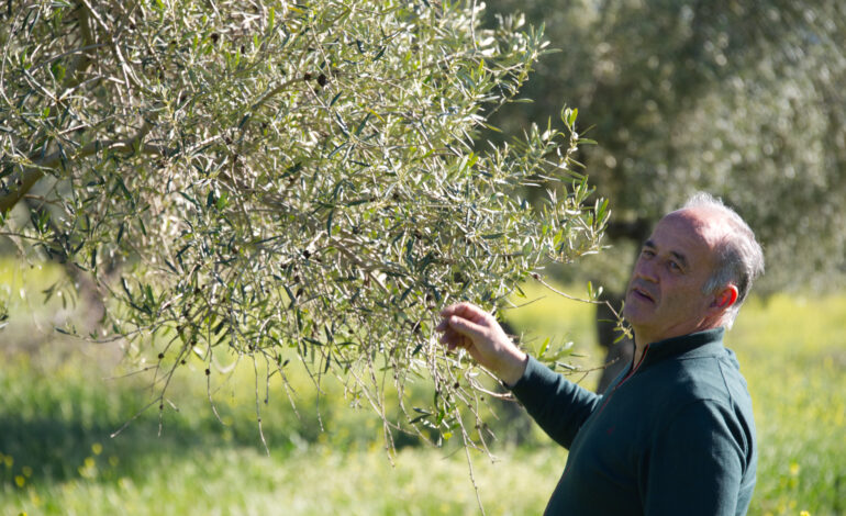 Maestro-Almazara-09-770x470.jpg